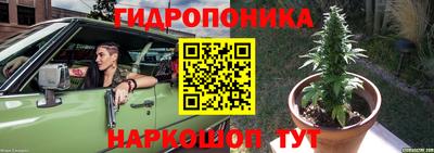 прущие грибы Краснокаменск