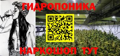2c-b Краснознаменск