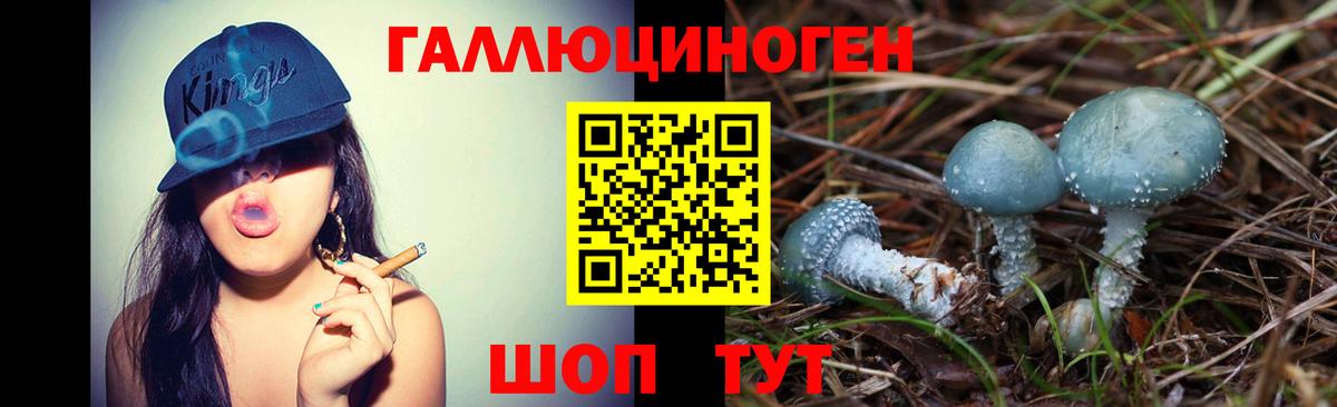 Галлюциногенные грибы Psilocybe Донской